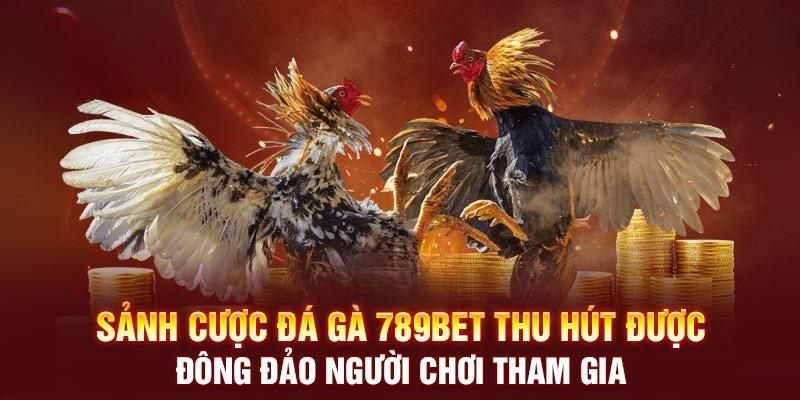 789Bet - Nhà Cái Đá Gà Với Đa Dạng Loại Hình Đặc Biệt