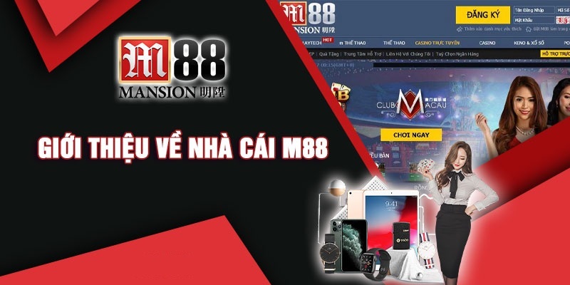 M88 - Top 1 Nhà Cái Đá Gà Chất Lượng Tại Khu Vực Châu Á